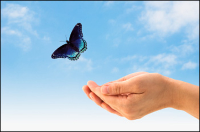 Predectided Death according to the Life Expectancy Calculator