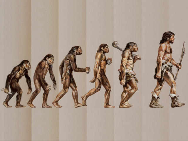 Primeros hominoideos erguidos.