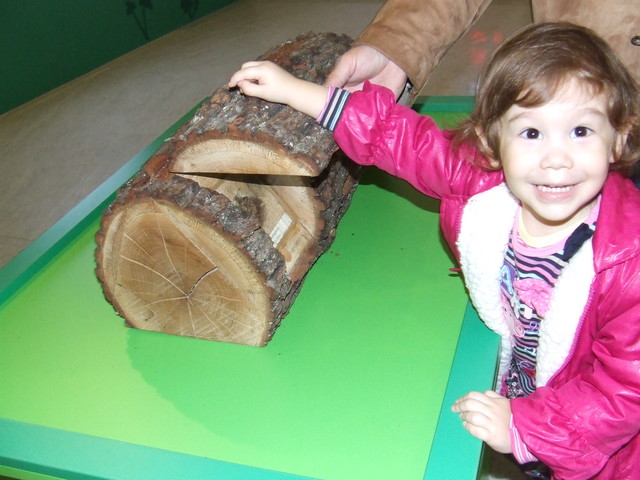 Látogatás az erdő házában