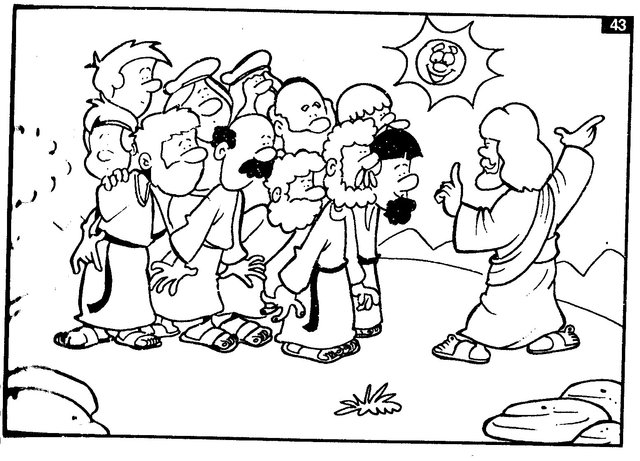 510 segun la academi