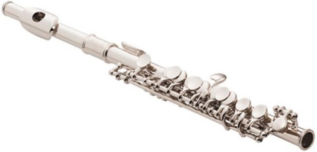 Concluyo la secundaria