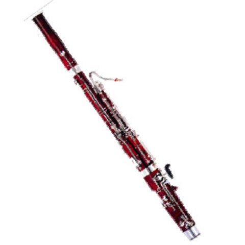 Concluyo la Preparatoria