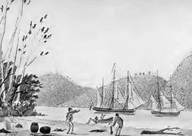 Second Breadfruit Voyage