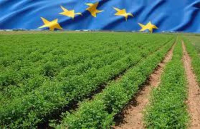 "Η κοινή γεωργική πολιτική"