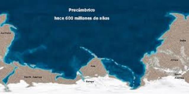 Hace 3800 mill años Precambrico