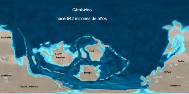Hace 439 mill de años. Paleozoico