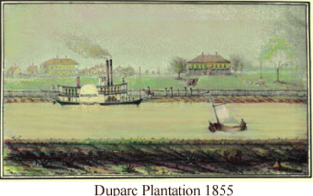 DuParc Plantation Becomes Fully Operational