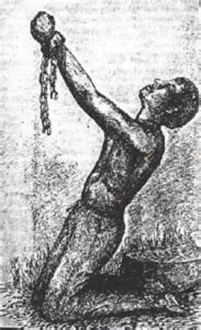 Freed Slaves increase in America