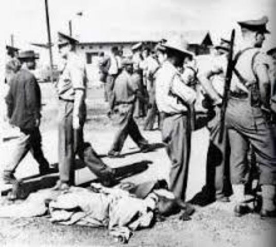 Police fire at protesters