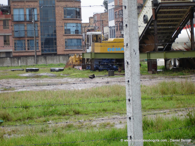 Primeros Asentamientos en el Humedal.