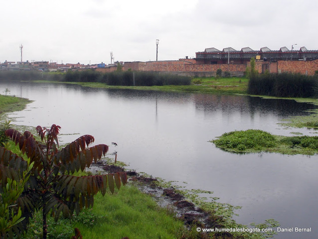 Declaracion zona de alto riesgo.