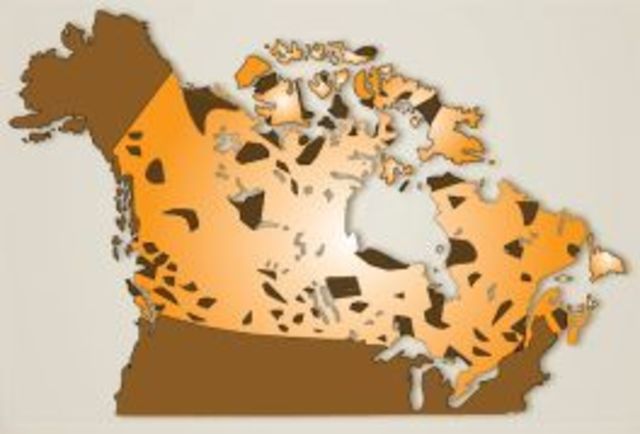 Movement toward Self Government