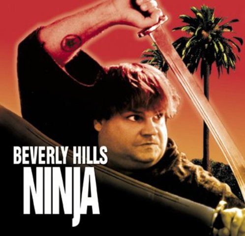 Chris' last movie, Beverly Hills Ninja
