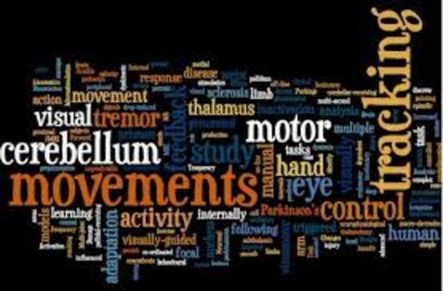 Motor skills development