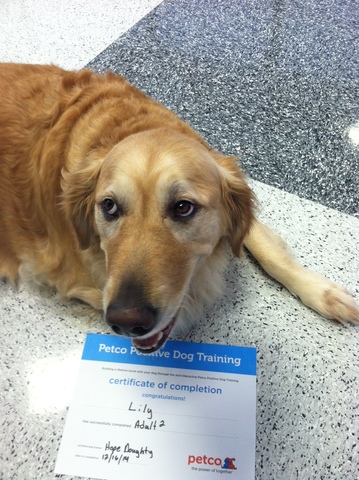 Canine Good Citizen- I passed!