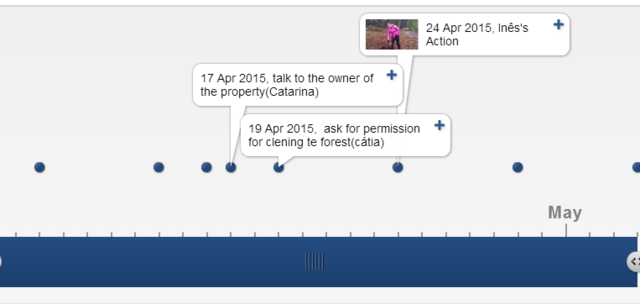 Creation of the timeline