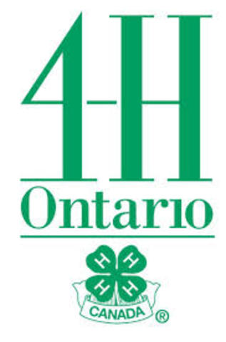 4-H