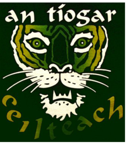 The Celtic Tiger