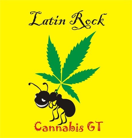 recibi clases de bateria