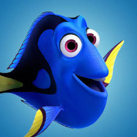 My voice is Dory in Nemo