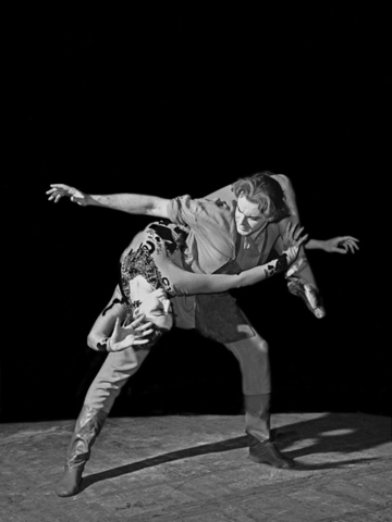 Interpretación de "La Flor de Piedra"