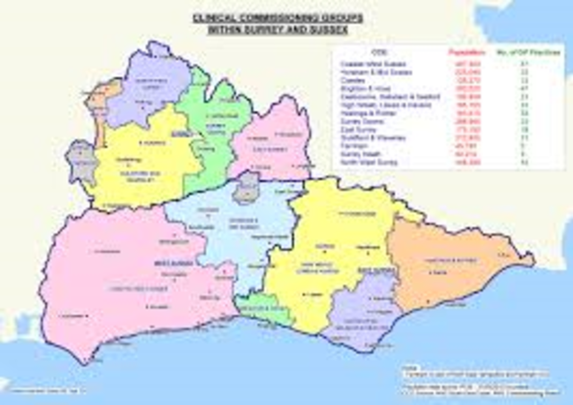 Sinking of French passenger liner Sussex