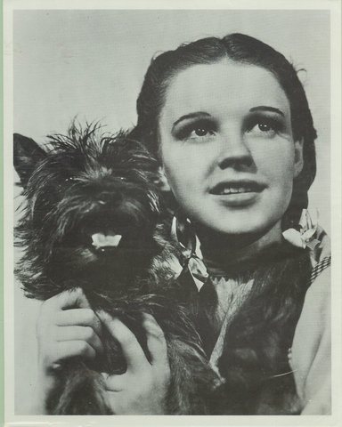 Dorothy