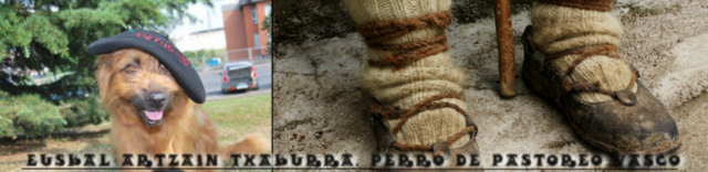 1º Concurso-Exposición de perros de pastor