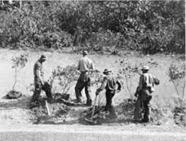 Civilian Conservation Corps