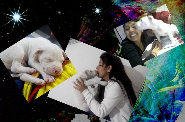 EL MEJOR REGALO DEL MUNDO