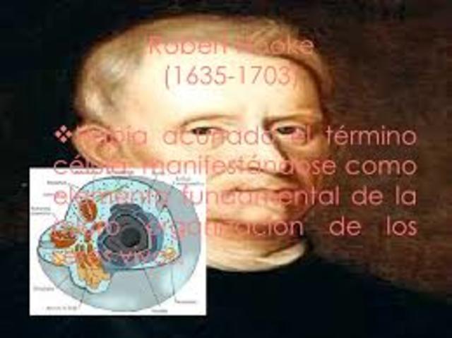 ROBERT HOOKE