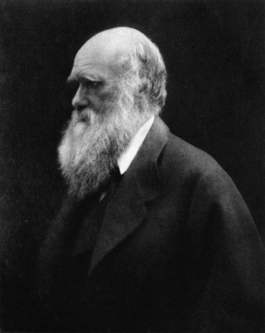CHARLES DARWIN