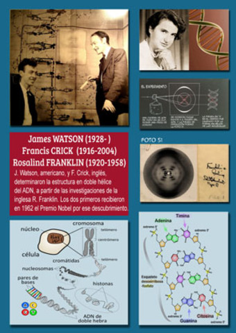 WATSON Y CRICK