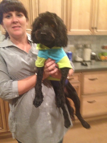 We adopt a rescue dog