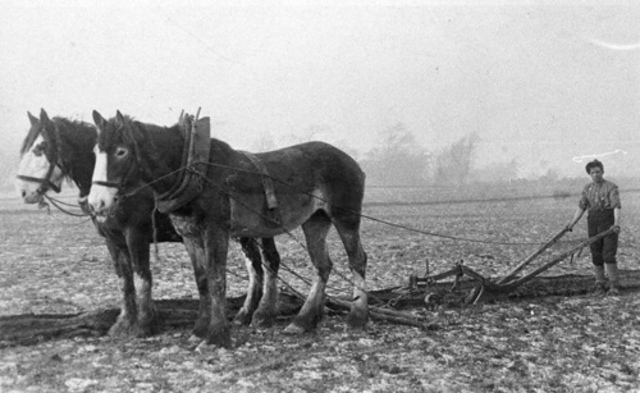 invention of the plough
