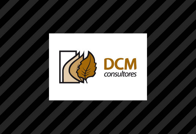 DCM Consultores