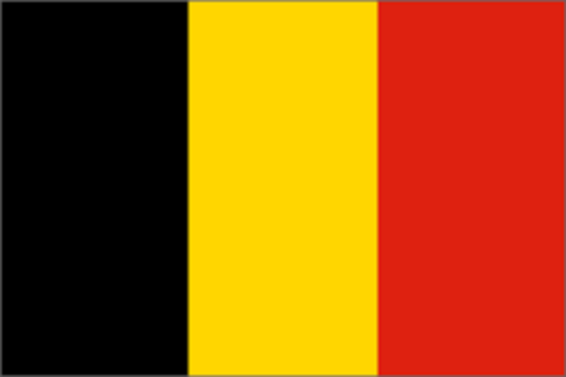 Belgium surrenders