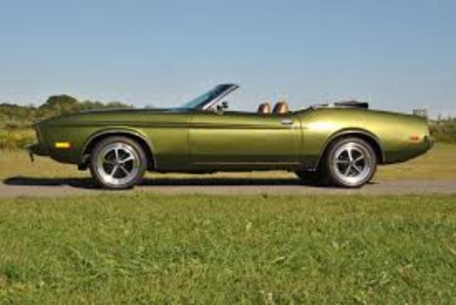 were a total of 134,867 Mustangs