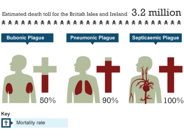 The Black Death Comes to Europe
