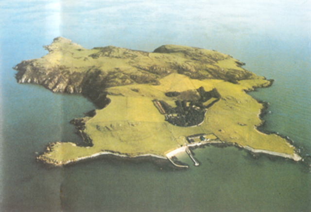 VIkings arrive in Ireland