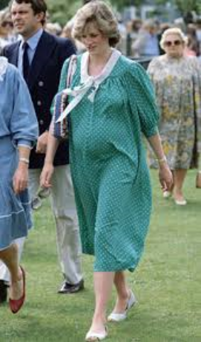 Princess Diana is pregnant
