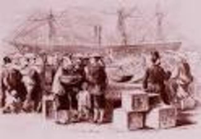 first huge wave of chinese immigrants