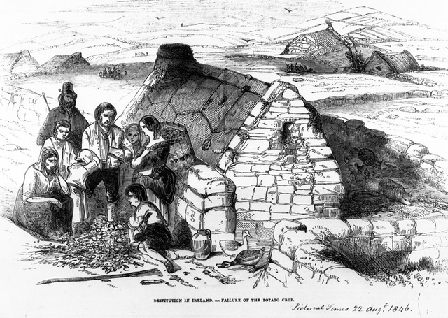 Irish Famine