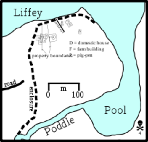 The Vikings established settlements in Ireland