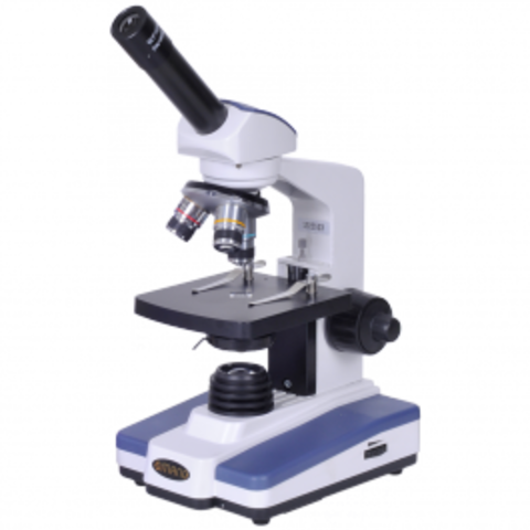 Hans & Zacharias Janssen create the first compound microscope