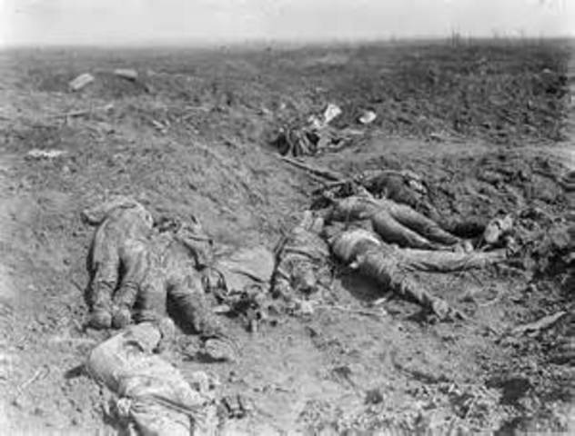 The Somme campaign ends