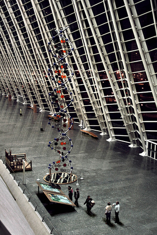 Proyecto Xenoma Humano