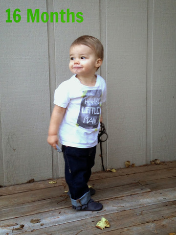 16-18 months cognitive