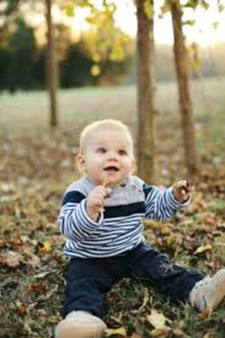 13-15 months -cognitive