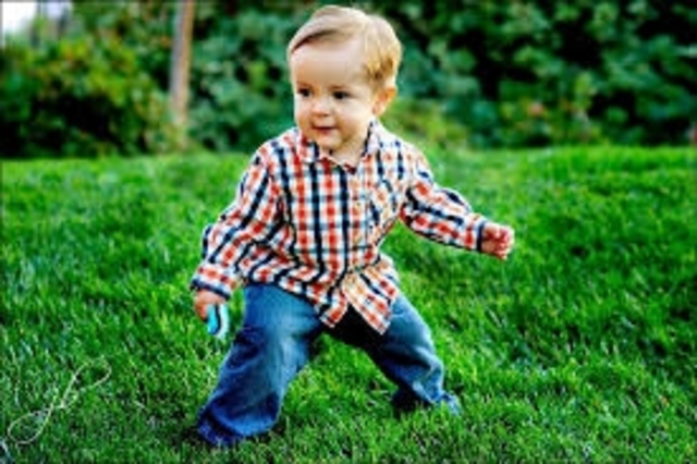 24-30 months (physical)